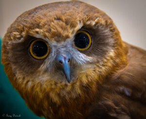 408993597_10161101078624264_4408407818706585910_n